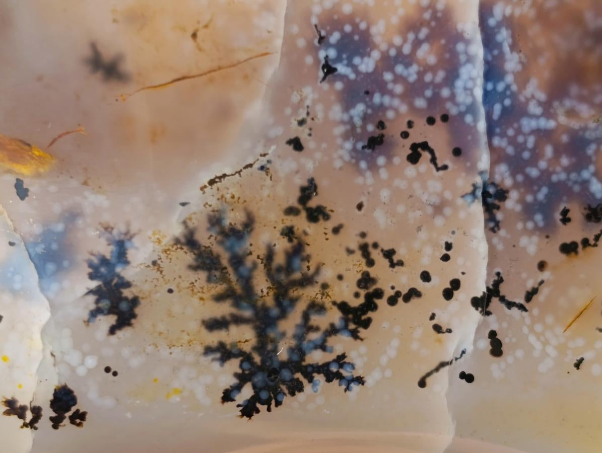 Polished Mix of Agate Standing Free Forms x 5 From Madagascar - Toprock Gemstones and Minerals 