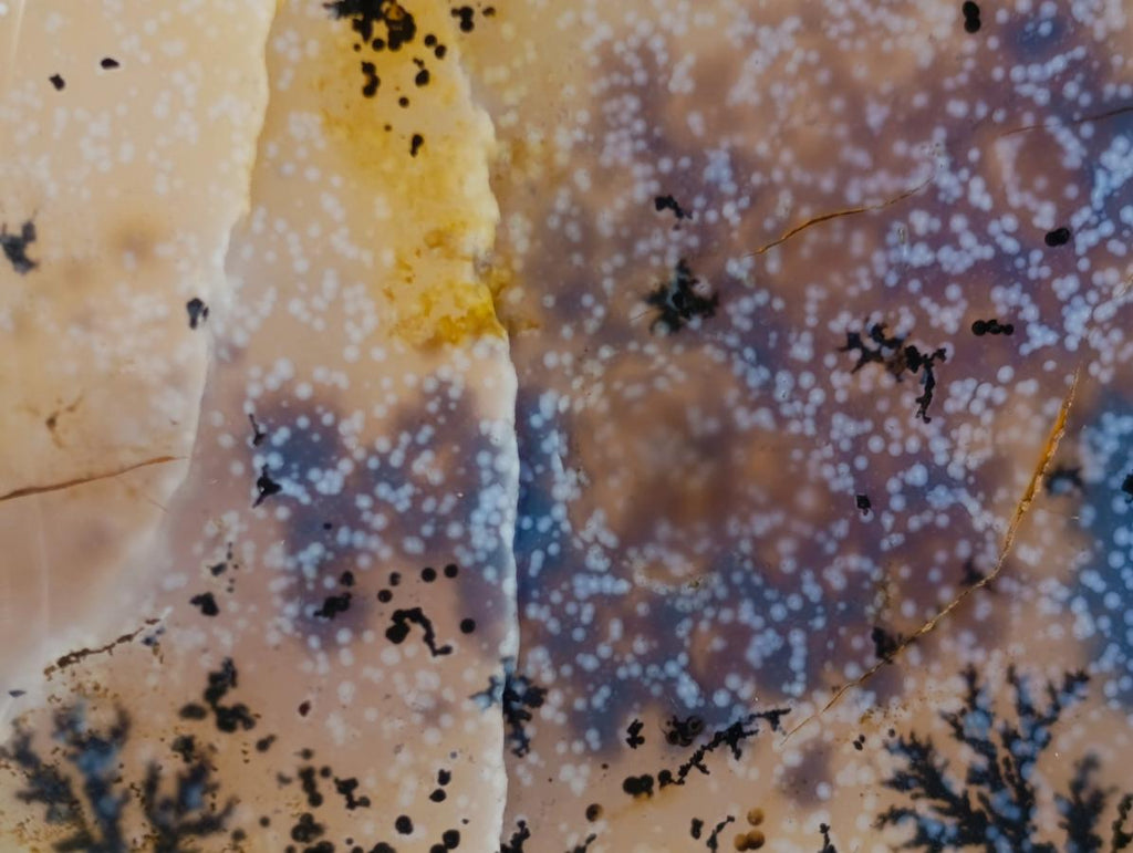 Polished Mix of Agate Standing Free Forms x 5 From Madagascar - Toprock Gemstones and Minerals 