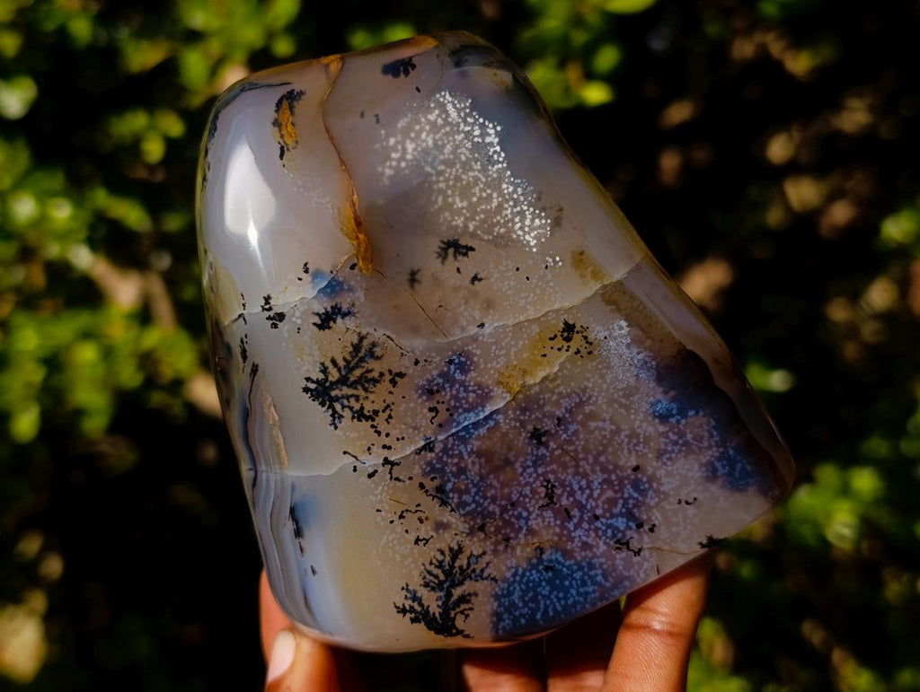 Polished Mix of Agate Standing Free Forms x 5 From Madagascar - Toprock Gemstones and Minerals 