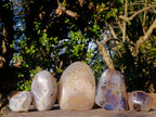 Polished Mix of Agate Standing Free Forms x 5 From Madagascar - Toprock Gemstones and Minerals 
