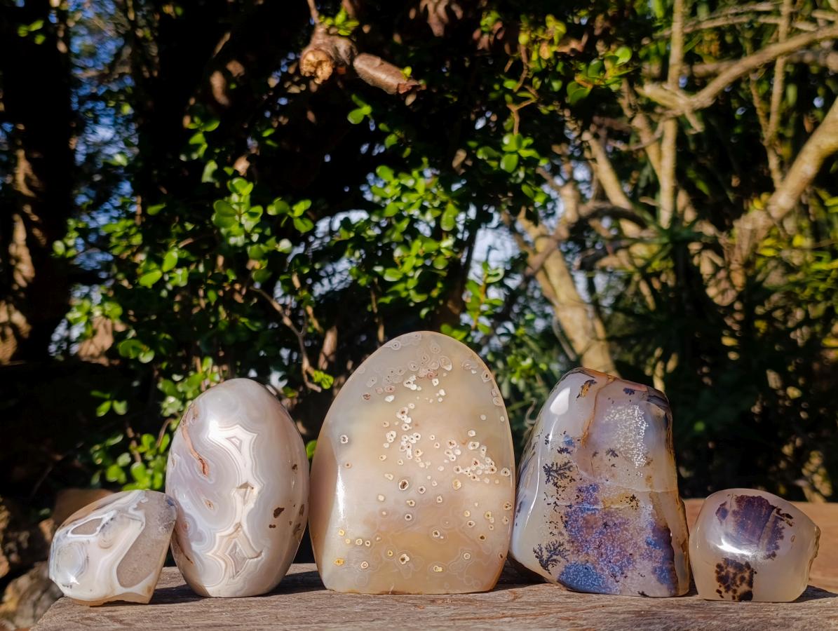 Polished Mix of Agate Standing Free Forms x 5 From Madagascar - Toprock Gemstones and Minerals 