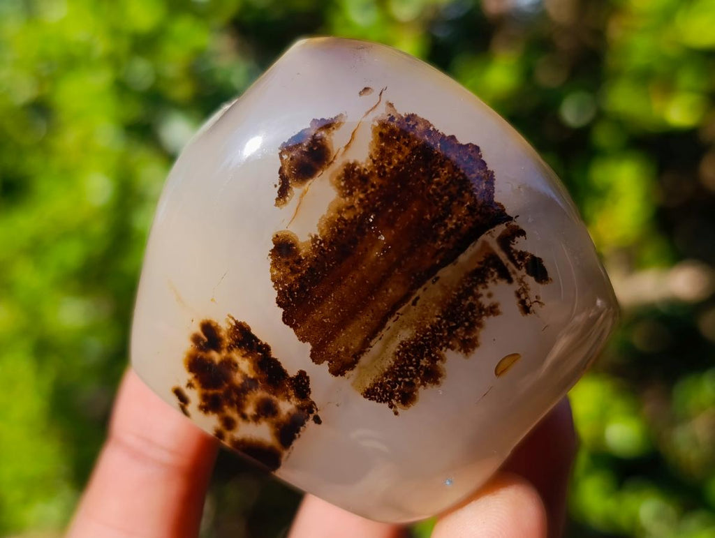 Polished Mix of Agate Standing Free Forms x 5 From Madagascar - Toprock Gemstones and Minerals 