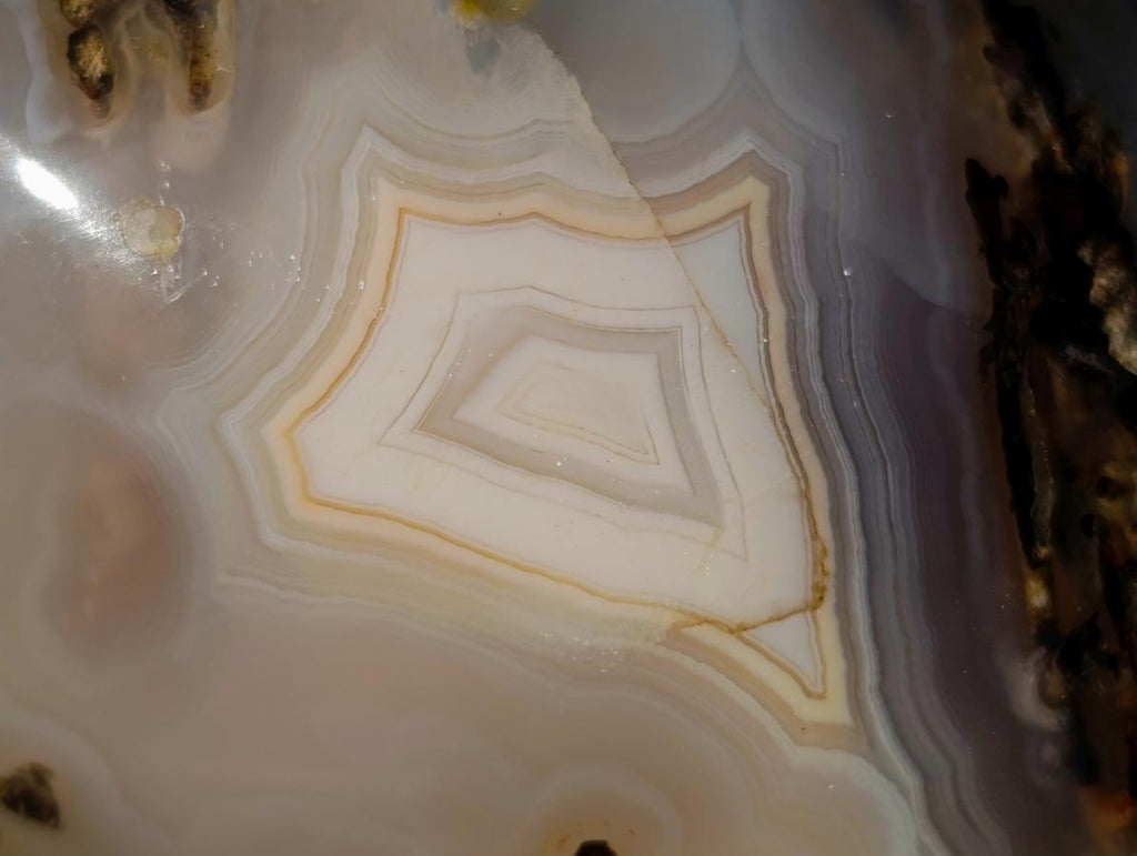 Polished Mix of Agate Standing Free Forms x 5 From Madagascar - Toprock Gemstones and Minerals 