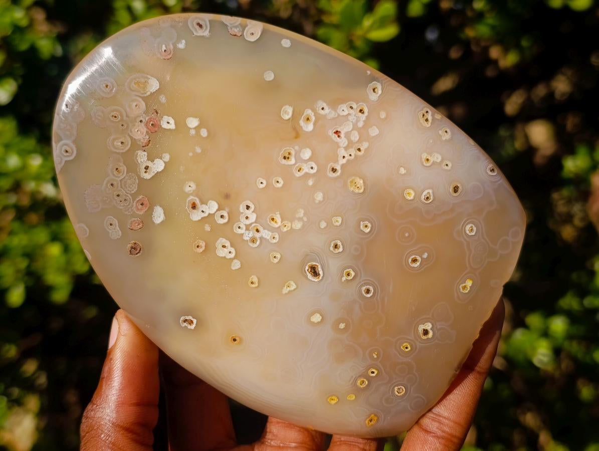 Polished Mix of Agate Standing Free Forms x 5 From Madagascar - Toprock Gemstones and Minerals 