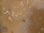 Polished Mix of Agate Standing Free Forms x 5 From Madagascar - Toprock Gemstones and Minerals 