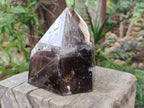 Polished Large Smokey Window Quartz Display Crystal with Three Enhydros x 1 From Madagascar - Toprock Gemstones and Minerals 