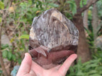 Polished Large Smokey Window Quartz Display Crystal with Three Enhydros x 1 From Madagascar - Toprock Gemstones and Minerals 