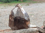Polished Large Smokey Window Quartz Display Crystal with Three Enhydros x 1 From Madagascar - Toprock Gemstones and Minerals 