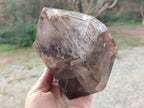 Polished Large Smokey Window Quartz Display Crystal with Three Enhydros x 1 From Madagascar - Toprock Gemstones and Minerals 