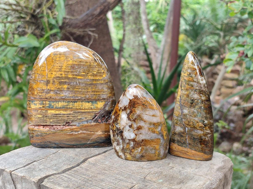 Polished Nellite Tigers Eye Standing Display Pieces x 3 From Prieska, South Africa - Toprock Gemstones and Minerals 