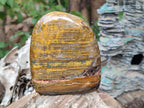 Polished Nellite Tigers Eye Standing Display Pieces x 3 From Prieska, South Africa - Toprock Gemstones and Minerals 