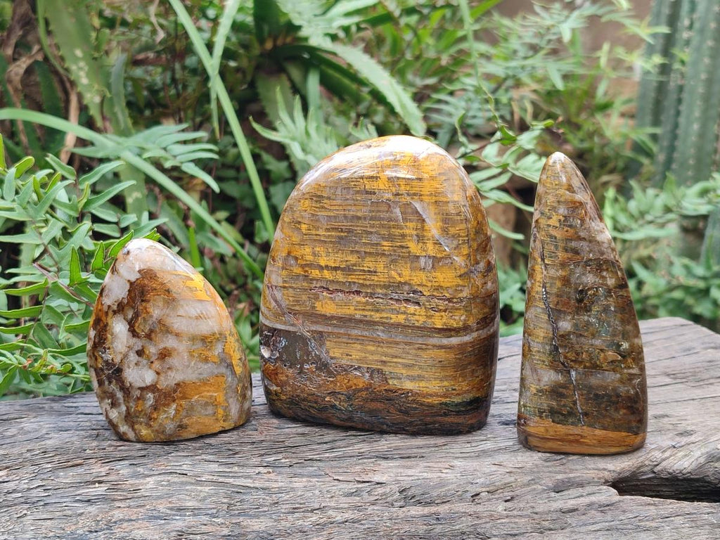 Polished Nellite Tigers Eye Standing Display Pieces x 3 From Prieska, South Africa - Toprock Gemstones and Minerals 