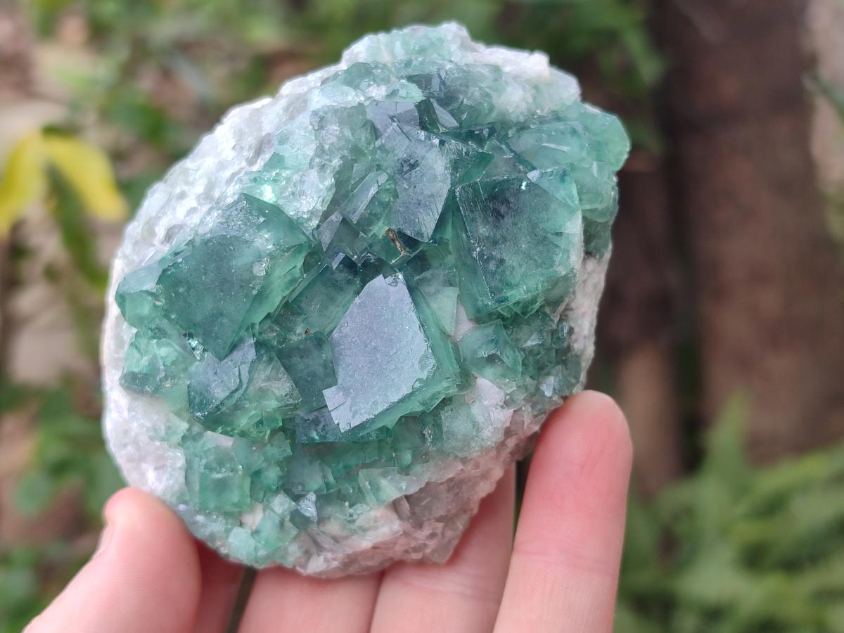 Natural Green Cubic Fluorite Specimens x 3 From Mandrosonoro, Madagascar - Toprock Gemstones and Minerals 