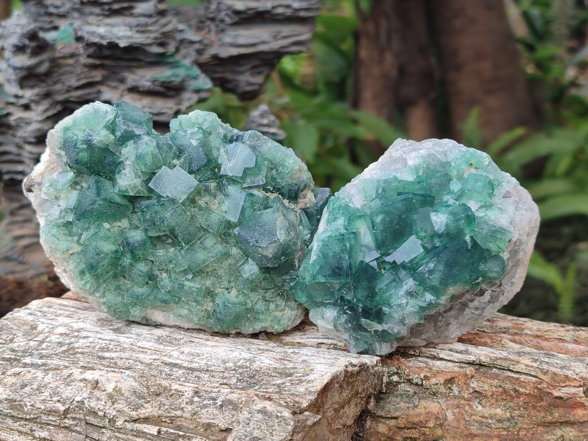 Natural Green Cubic Fluorite Specimens x 3 From Mandrosonoro, Madagascar - Toprock Gemstones and Minerals 