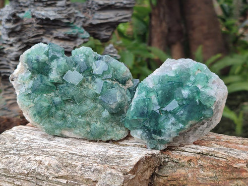 Natural Green Cubic Fluorite Specimens x 3 From Mandrosonoro, Madagascar - Toprock Gemstones and Minerals 