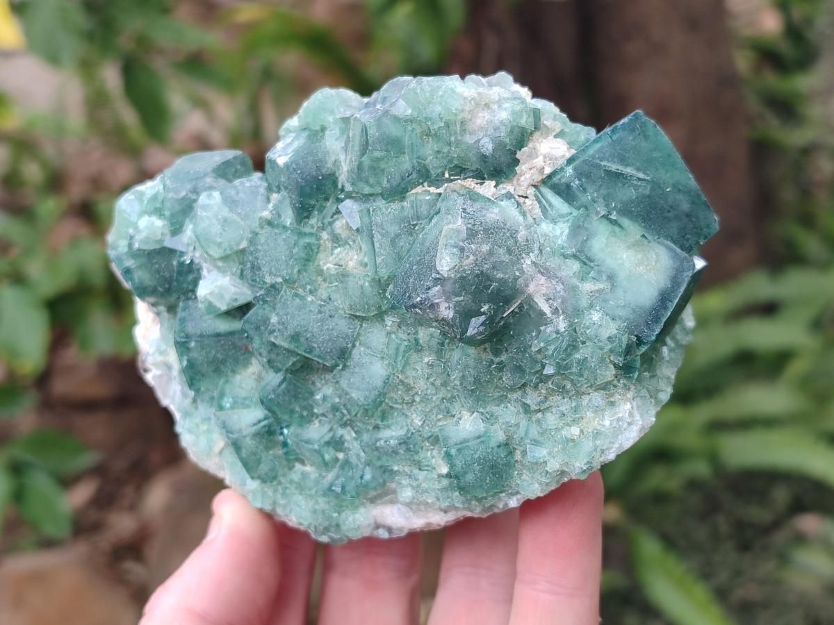 Natural Green Cubic Fluorite Specimens x 3 From Mandrosonoro, Madagascar - Toprock Gemstones and Minerals 