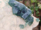 Natural Green Cubic Fluorite Specimens x 3 From Mandrosonoro, Madagascar - Toprock Gemstones and Minerals 