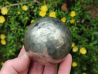 Polished Basalt Pharaoh Stone Spheres x 3 From Iron Duke Mine, Zimbabwe - Toprock Gemstones and Minerals 