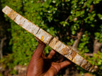 Polished Large Podocarpus Petrified Wood Slice x 1 From Mahajanga, Madagascar - Toprock Gemstones and Minerals 