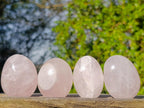 Polished Gemmy Rose Quartz Palm Stones x 24 From Madagascar - Toprock Gemstones and Minerals 