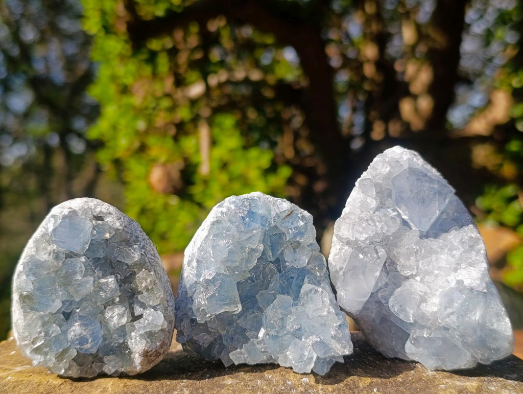 Natural Blue Celestite Specimens x 20 From Sakoany, Madagascar - Toprock Gemstones and Minerals 