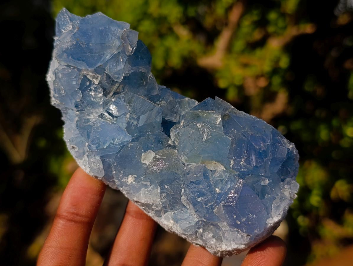 Natural Blue Celestite Specimens x 20 From Sakoany, Madagascar - Toprock Gemstones and Minerals 