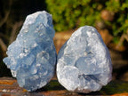 Natural Blue Celestite Specimens x 20 From Sakoany, Madagascar - Toprock Gemstones and Minerals 
