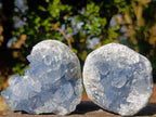 Natural Blue Celestite Specimens x 20 From Sakoany, Madagascar - Toprock Gemstones and Minerals 