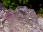 Natural Large Jacaranda Amethyst Cluster x 1 From Mumbwa, Zambia - Toprock Gemstones and Minerals 