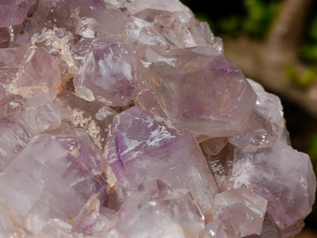 Natural Large Jacaranda Amethyst Cluster x 1 From Mumbwa, Zambia - Toprock Gemstones and Minerals 