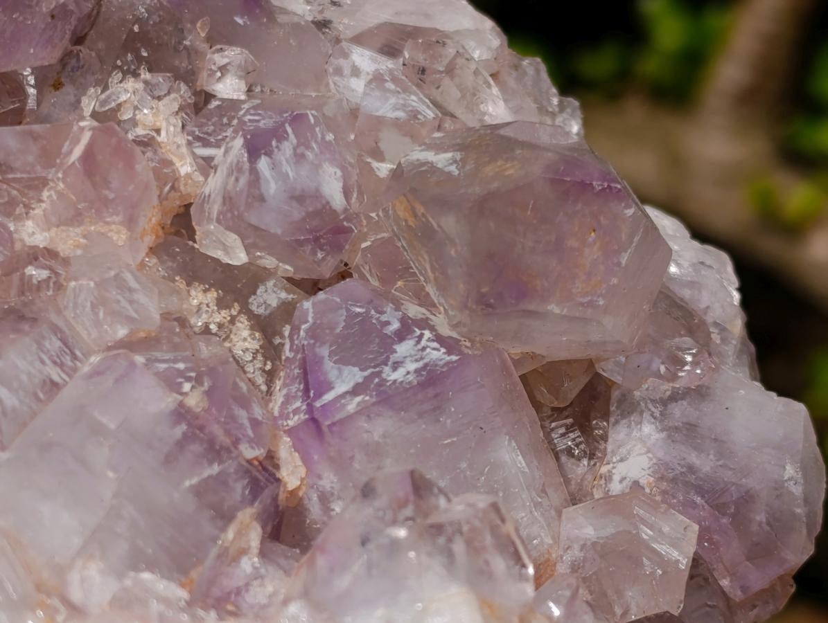 Natural Large Jacaranda Amethyst Cluster x 1 From Mumbwa, Zambia - Toprock Gemstones and Minerals 