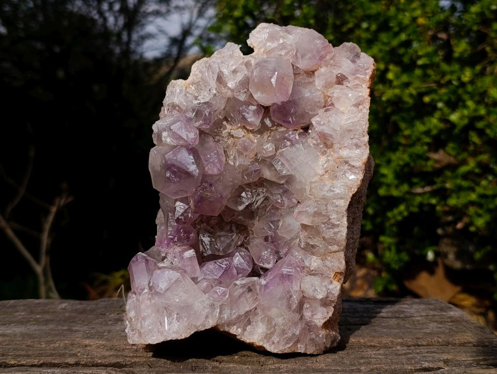 Natural Large Jacaranda Amethyst Cluster x 1 From Mumbwa, Zambia - Toprock Gemstones and Minerals 