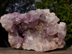 Natural Large Jacaranda Amethyst Cluster x 1 From Mumbwa, Zambia - Toprock Gemstones and Minerals 