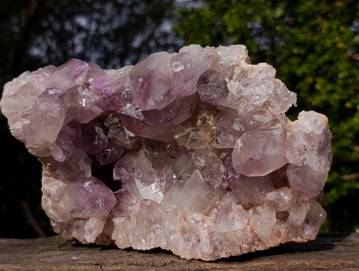 Natural Large Jacaranda Amethyst Cluster x 1 From Mumbwa, Zambia - Toprock Gemstones and Minerals 