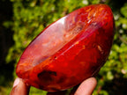 Polished Carnelian Agate Gemstone Bowls x 3 From Madagascar - Toprock Gemstones and Minerals 