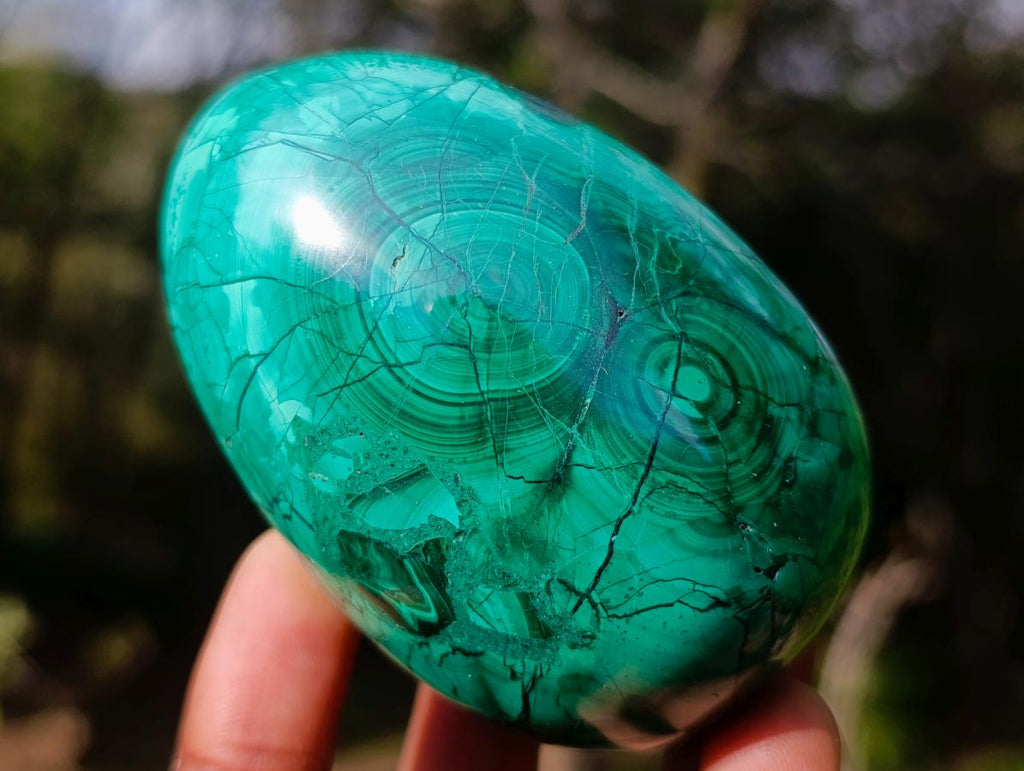 Polished Flower Banded Malachite Gemstone Eggs x 3 From Congo - Toprock Gemstones and Minerals 