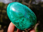 Polished Flower Banded Malachite Gemstone Eggs x 3 From Congo - Toprock Gemstones and Minerals 