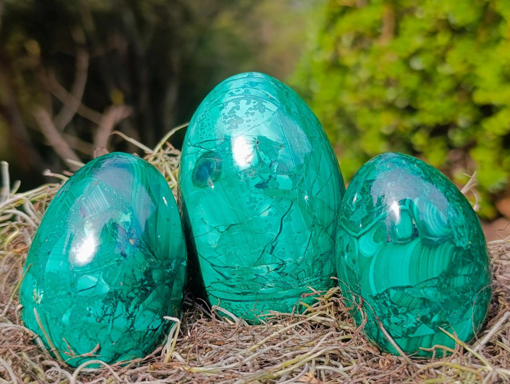 Polished Flower Banded Malachite Gemstone Eggs x 3 From Congo - Toprock Gemstones and Minerals 