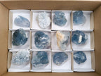 Natural Blue Celestite Specimens x 12 From Sakoany, Madagascar - Toprock Gemstones and Minerals 