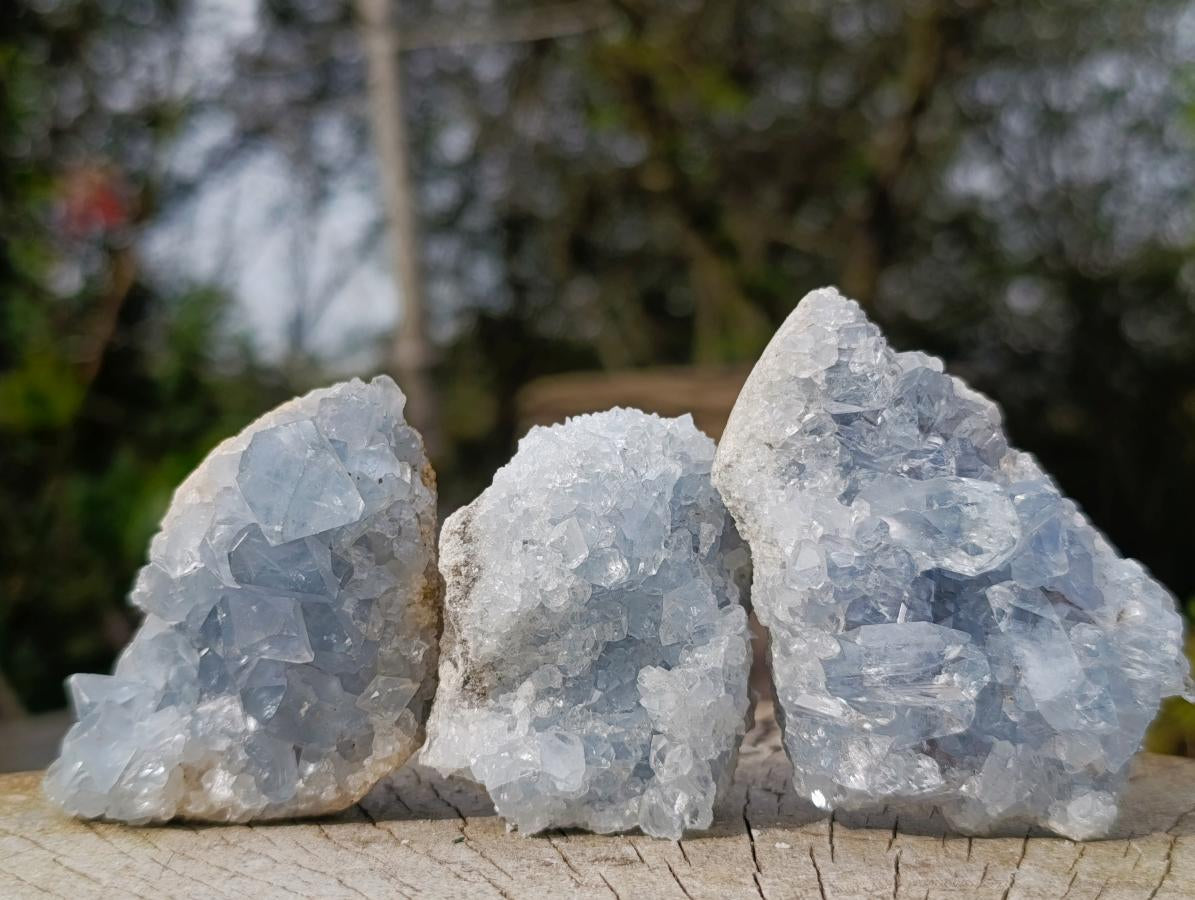 Natural Blue Celestite Specimens x 12 From Sakoany, Madagascar - Toprock Gemstones and Minerals 