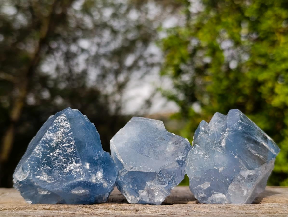 Natural Blue Celestite Specimens x 12 From Sakoany, Madagascar - Toprock Gemstones and Minerals 