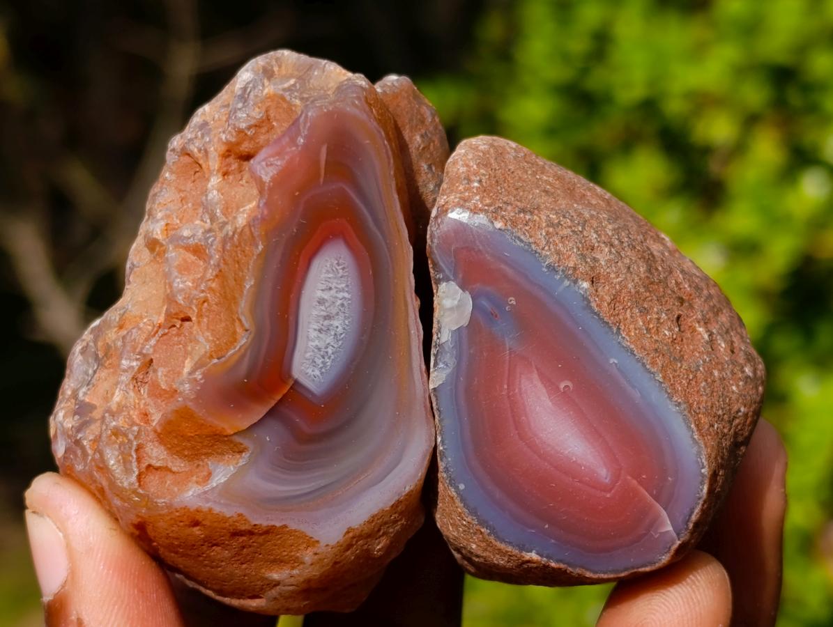 Polished One Side Red Shashe River Agate Nodules x 25 From Shashe River, Zimbabwe - Toprock Gemstones and Minerals 