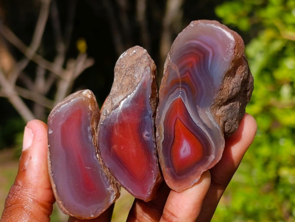 Polished One Side Red Shashe River Agate Nodules x 25 From Shashe River, Zimbabwe - Toprock Gemstones and Minerals 
