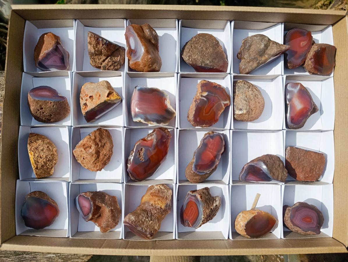 Polished One Side Red Shashe River Agate Nodules x 25 From Shashe River, Zimbabwe - Toprock Gemstones and Minerals 