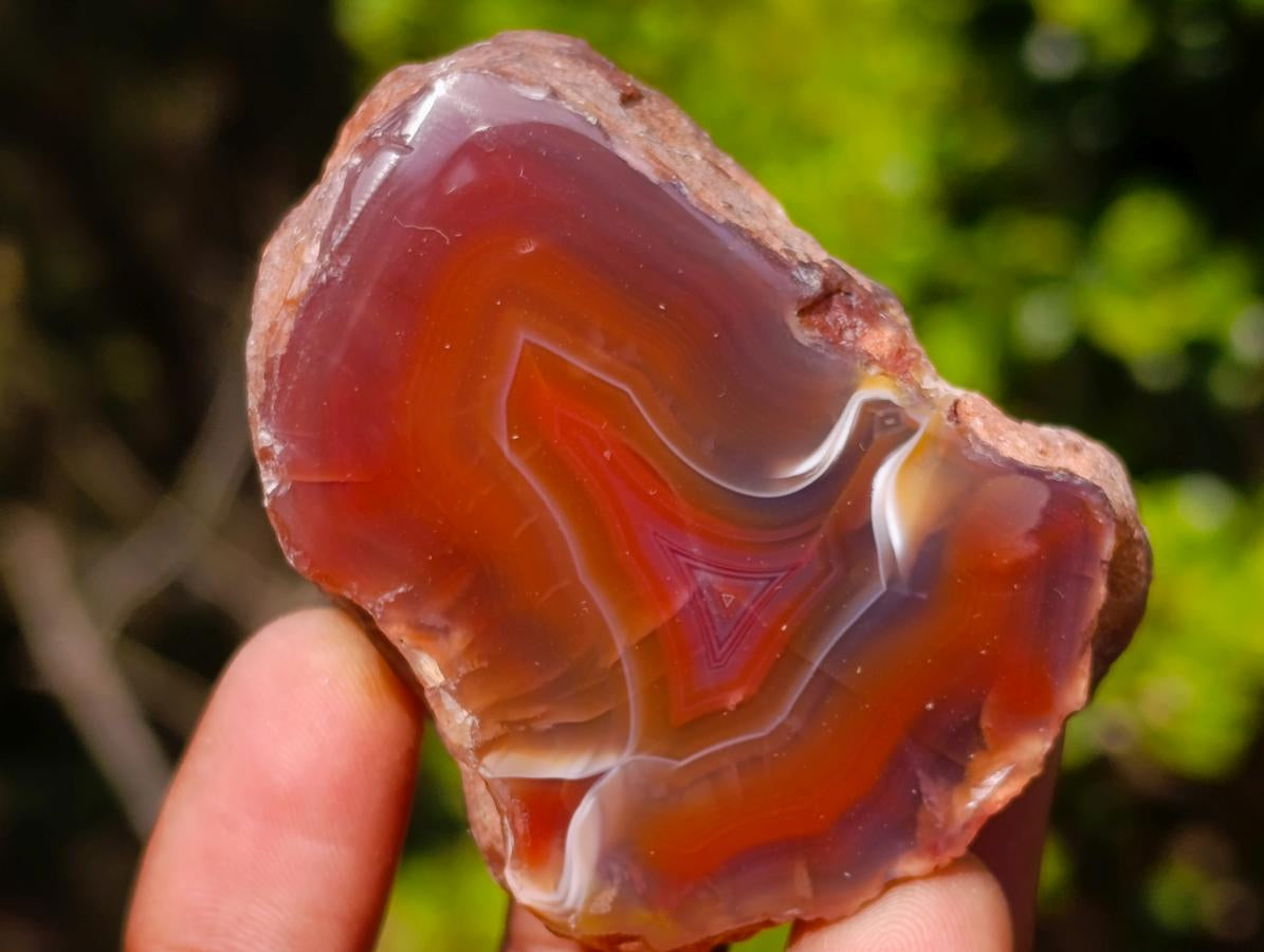 Polished One Side Red Shashe River Agate Nodules x 25 From Shashe River, Zimbabwe - Toprock Gemstones and Minerals 