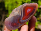 Polished One Side Red Shashe River Agate Nodules x 25 From Shashe River, Zimbabwe - Toprock Gemstones and Minerals 