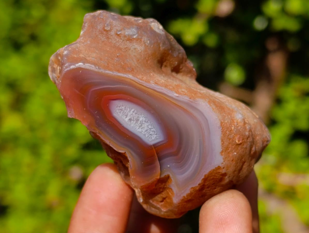 Polished One Side Red Shashe River Agate Nodules x 25 From Shashe River, Zimbabwe - Toprock Gemstones and Minerals 
