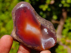 Polished One Side Red Shashe River Agate Nodules x 25 From Shashe River, Zimbabwe - Toprock Gemstones and Minerals 