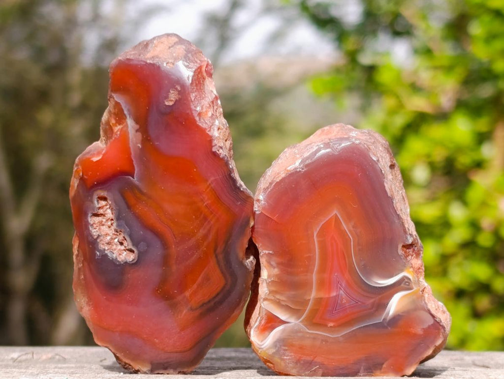 Polished One Side Red Shashe River Agate Nodules x 25 From Shashe River, Zimbabwe - Toprock Gemstones and Minerals 