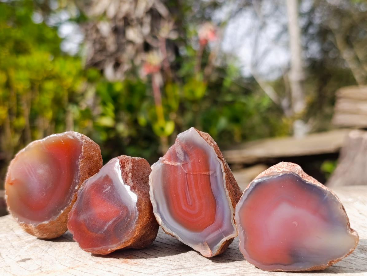Polished One Side Red Shashe River Agate Nodules x 25 From Shashe River, Zimbabwe - Toprock Gemstones and Minerals 